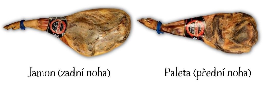 paleta vs jamon